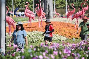 BIB: 
                            <button type="button" onclick="openModal(27794161)" class="btn btn-primary btn-sm float-right btn-popup" data-toggle="modal" data-target=".modal-high-quality">
                        <i class="fas fa-shopping-cart"></i> Add to Cart
                    </button>
                                            <button type="button" onclick="isThisMe(27794161, true)" class="btn btn-success btn-sm float-right btn-popup btn-isme hidden" data-toggle="tooltip" data-placement="bottom" title="นี่คือรูปของคุณใช่ไหม คลิกที่นี่เพื่อเอาเข้าอัลบั้ม">
                        <i class="fas fa-plus"></i> Add to album
                    </button>
                    <button type="button" onclick="isThisMe(27794161, false)" class="btn btn-warning btn-sm float-right btn-popup btn-isnotme hidden">
                        <i class="fas fa-ban"></i> Remove from album
                    </button>